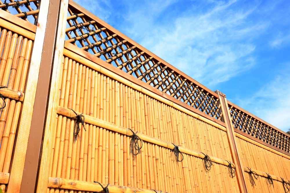 bamboo fence Big Island